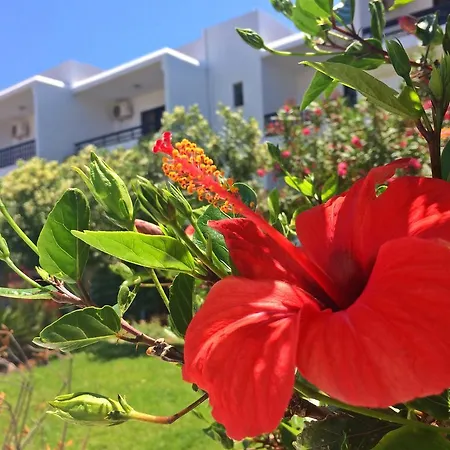 Hotel de apartamente Debby 2*